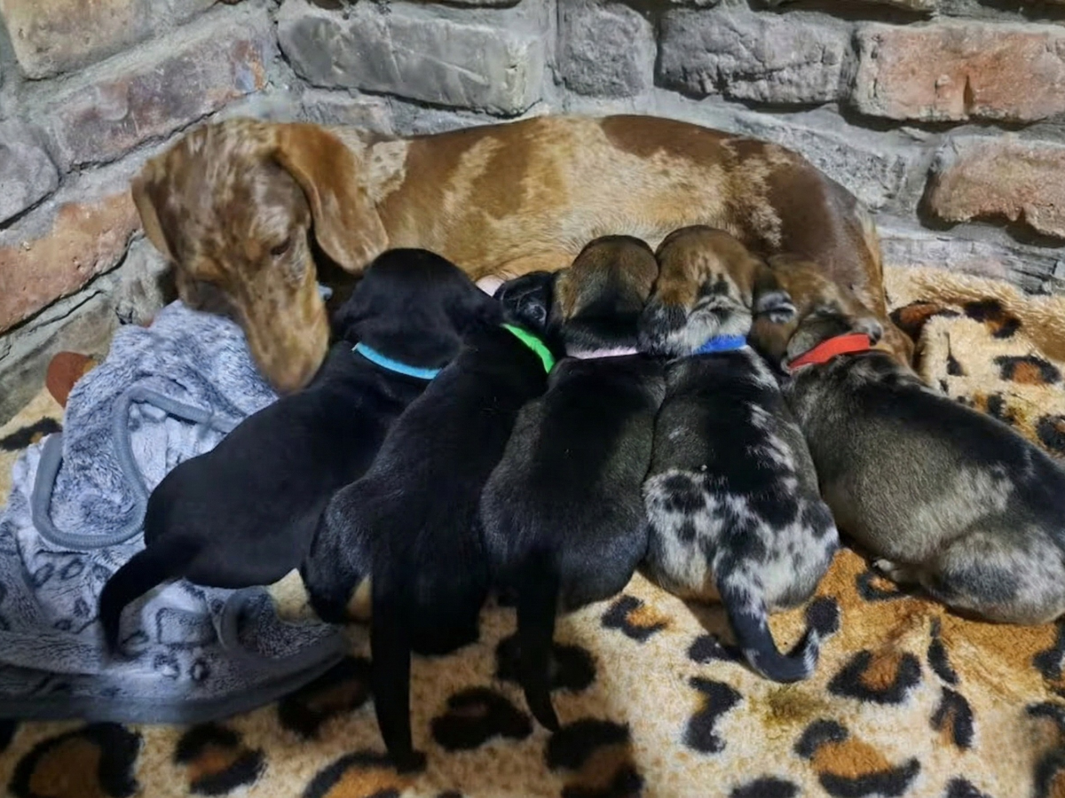 Bez názvu (1200 x 900 px)